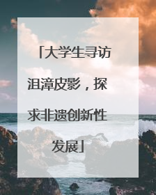 大学生寻访沮漳皮影，探求非遗创新性发展