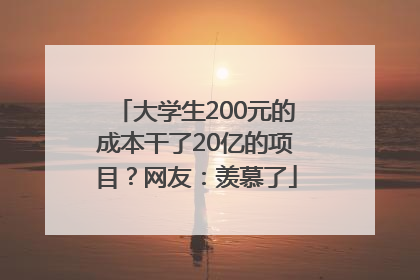 大学生200元的成本干了20亿的项目？网友：羡慕了