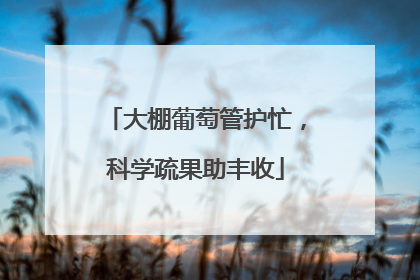 大棚葡萄管护忙，科学疏果助丰收