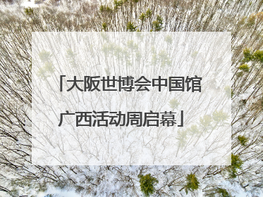 大阪世博会中国馆广西活动周启幕