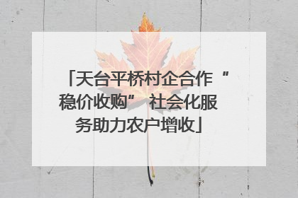 天台平桥村企合作“稳价收购” 社会化服务助力农户增收