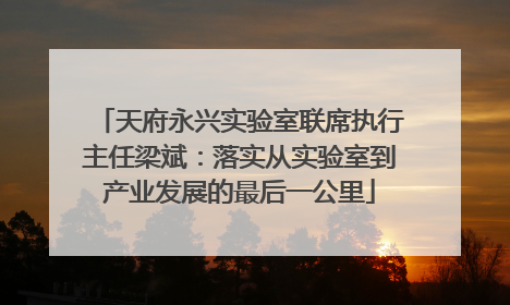 天府永兴实验室联席执行主任梁斌：落实从实验室到产业发展的最后一公里