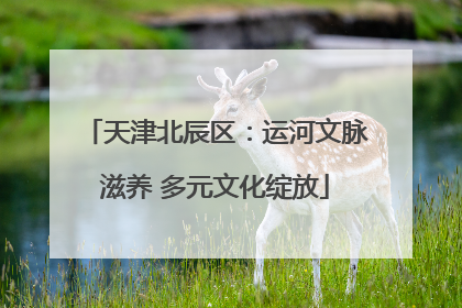 天津北辰区：运河文脉滋养 多元文化绽放