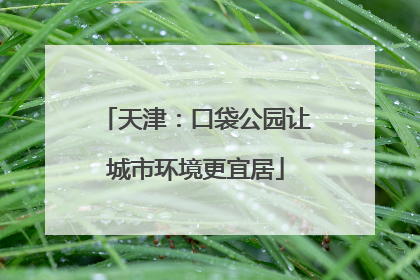 天津：口袋公园让城市环境更宜居