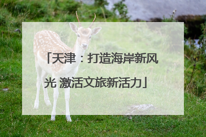 天津：打造海岸新风光 激活文旅新活力
