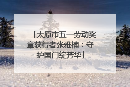 太原市五一劳动奖章获得者张雅楠：守护国门绽芳华