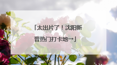 太出片了！沈阳新晋热门打卡地→