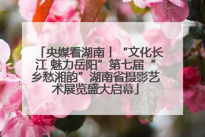 央媒看湖南丨“文化长江 魅力岳阳”第七届“乡愁湘韵”湖南省摄影艺术展览盛大启幕