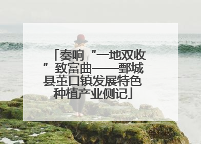 奏响“一地双收”致富曲——鄄城县董口镇发展特色种植产业侧记