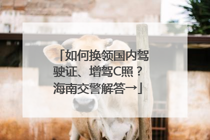 如何换领国内驾驶证、增驾C照？海南交警解答→