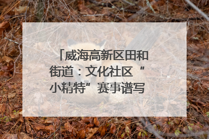 威海高新区田和街道：文化社区“小精特”赛事谱写文化赋能新乐章