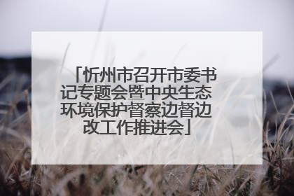 忻州市召开市委书记专题会暨中央生态环境保护督察边督边改工作推进会