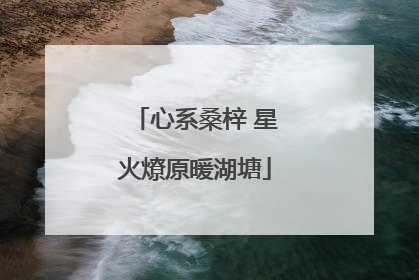 心系桑梓 星火燎原暖湖塘