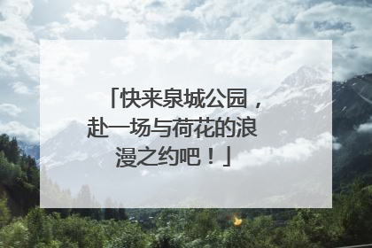 快来泉城公园，赴一场与荷花的浪漫之约吧！