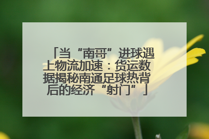 当“南哥”进球遇上物流加速：货运数据揭秘南通足球热背后的经济“射门”