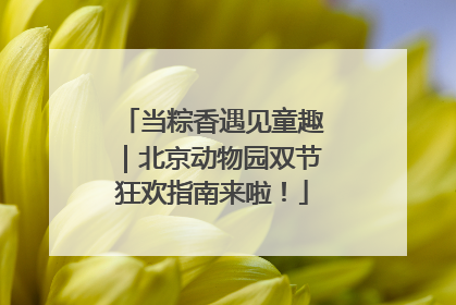当粽香遇见童趣｜北京动物园双节狂欢指南来啦！