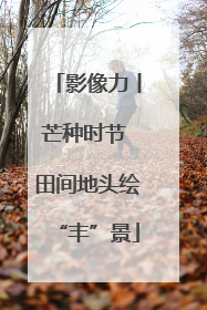 影像力丨芒种时节 田间地头绘“丰”景