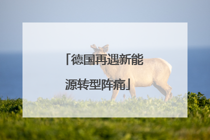 德国再遇新能源转型阵痛