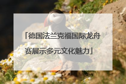 德国法兰克福国际龙舟赛展示多元文化魅力