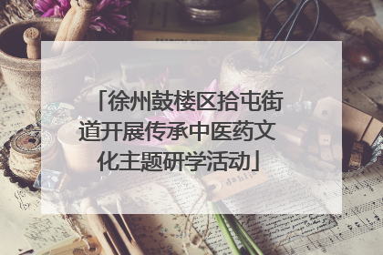 徐州鼓楼区拾屯街道开展传承中医药文化主题研学活动