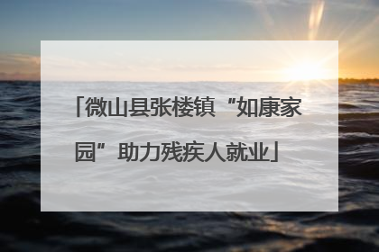 微山县张楼镇“如康家园”助力残疾人就业