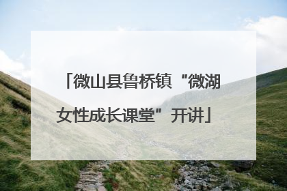 微山县鲁桥镇“微湖女性成长课堂”开讲