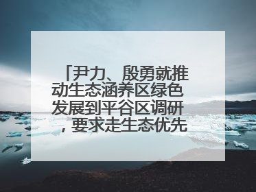 尹力、殷勇就推动生态涵养区绿色发展到平谷区调研，要求走生态优先、绿色低碳的高质量发展之路