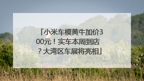 小米车模黄牛加价300元！实车本周到店？大湾区车展将亮相