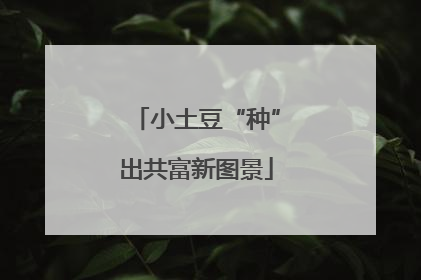 小土豆“种”出共富新图景