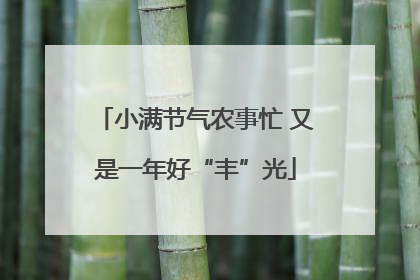 小满节气农事忙 又是一年好“丰”光