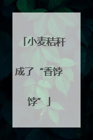 小麦秸秆成了“香饽饽”
