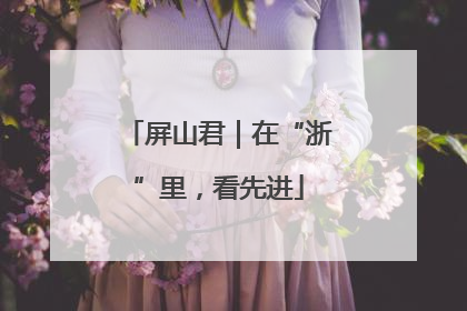 屏山君｜在“浙”里，看先进