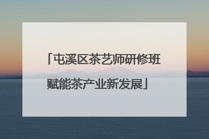 屯溪区茶艺师研修班赋能茶产业新发展