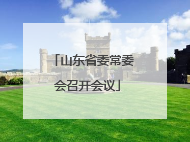 山东省委常委会召开会议