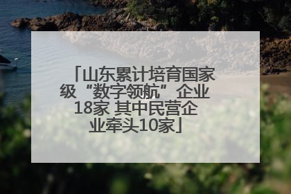 山东累计培育国家级“数字领航”企业18家 其中民营企业牵头10家