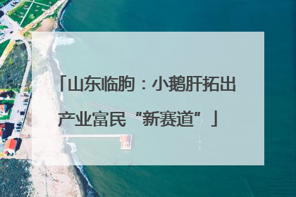 山东临朐：小鹅肝拓出产业富民“新赛道”