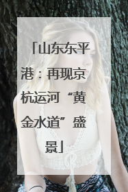 山东东平港：再现京杭运河“黄金水道”盛景