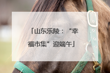 山东乐陵：“幸福市集”迎端午