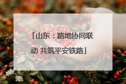 山东：路地协同联动 共筑平安铁路