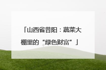 山西省昔阳：蔬菜大棚里的“绿色财富”