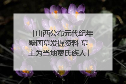 山西公布元代纪年壁画墓发掘资料 墓主为当地贾氏族人