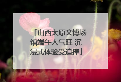 山西太原文博场馆端午人气旺 沉浸式体验受追捧