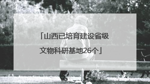 山西已培育建设省级文物科研基地26个