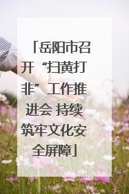 岳阳市召开“扫黄打非”工作推进会 持续筑牢文化安全屏障