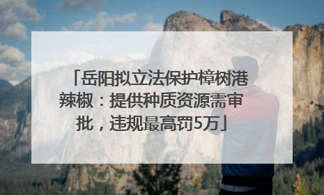 岳阳拟立法保护樟树港辣椒：提供种质资源需审批，违规最高罚5万