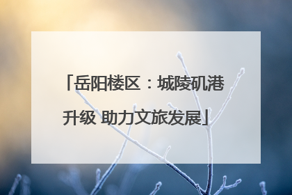 岳阳楼区：城陵矶港升级 助力文旅发展