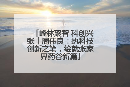 峰林聚智 科创兴张丨周伟良：执科技创新之笔，绘就张家界药谷新篇