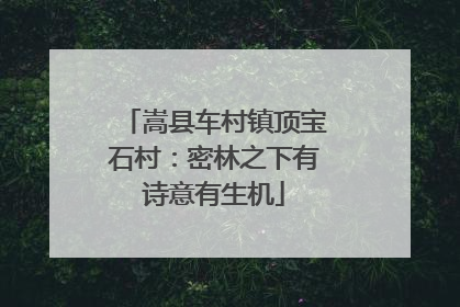 嵩县车村镇顶宝石村：密林之下有诗意有生机