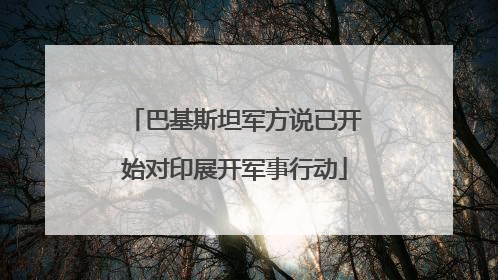 巴基斯坦军方说已开始对印展开军事行动