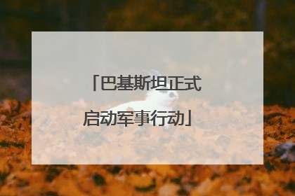 巴基斯坦正式启动军事行动